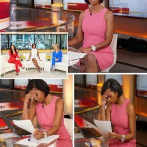 “OFF AIR NOW!” — After 17 years of never missing a beat, Harris Faulkner suddenly …