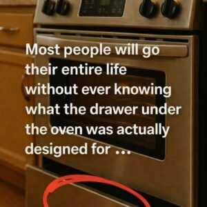 Think You Know Your Kitchen? The Secret Use of That Drawer Under the Oven Will Surprise You.