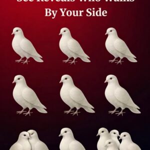 What It Really Means When You Start Noticing Doves Around You