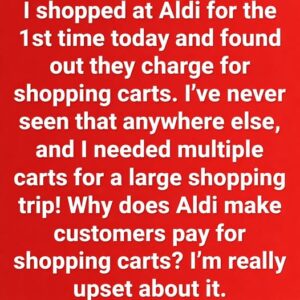 Why Do You Need a Coin at Aldi? Most People Don’t Know This