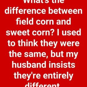 Comparing Field Corn and Sweet Corn