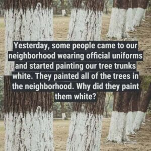 White Coats on Trees: Why Experts Are Painting Orchard Trunks This Season