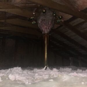 This Attic Find Creeped Me Out