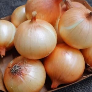 Doctors reveal that eating onion causes … See more