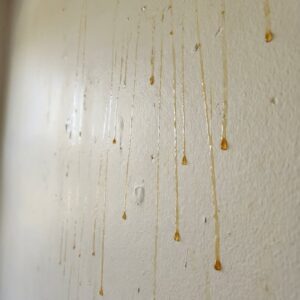 Yellow Stuff Starts Dripping Down Your Bathroom Walls? Here’s What It Might Be