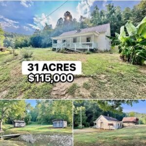 31-Acre Rural Property with Farmhouse and Development Potential in Blaine, Kentucky