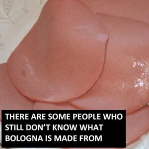 What Is Bologna Made Of?