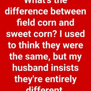 Comparing Field Corn and Sweet Corn