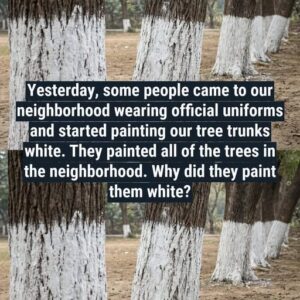 Why Are Some Trees Painted White?