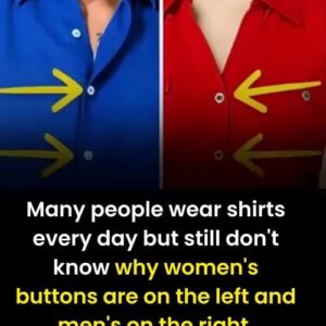 The Real Reason Women’s Shirts Button Differently from Men’s