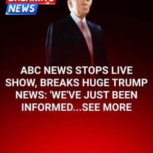 ABC Anchor Admits Truth As Trump’s DC Crackdown Yields Big Results