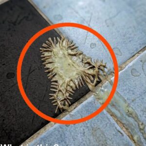 I found this in my girlfriend’s bathroom. We’ve been looking at it for an hour now and still can’t figure out what it is.