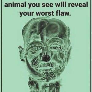 The First Creature You Notice in This Visual Can Reveal a Hidden Flaw