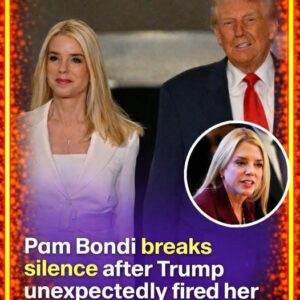 Pam Bondi speaks out as Donald Trump unexpectedly fires her as attorney general