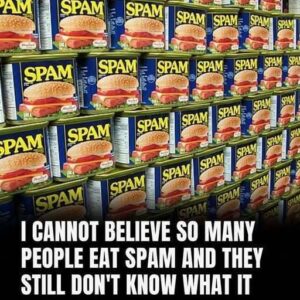 SPAM: What does it stand for, and what are its ingredients?