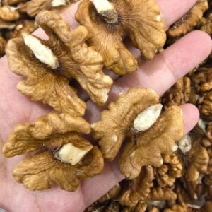 Doctors Reveal That Eating Apples Regularly Can Transform Your Health: