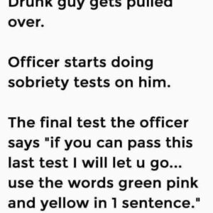 Drunk Guy Gets Pulled Over — The Last Test Seals His FateA drunk guy gets pulled over late one night after swerving