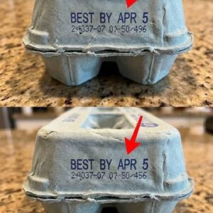What the Numbers on Your Egg Carton Really Mean