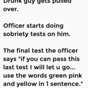 Drunk Guy Gets Pulled Over — The Last Test Seals His FateA drunk guy gets pulled over late one night after swerving