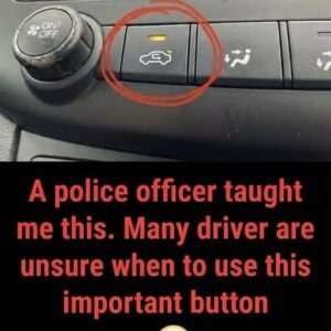 What the Air Recirculation Button Means for Your Driving Experience