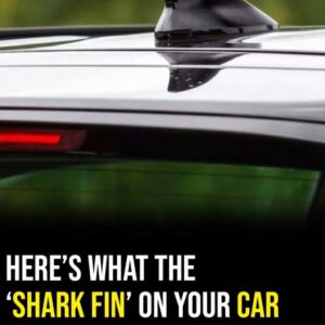The shark fin on your car serves an important purpose