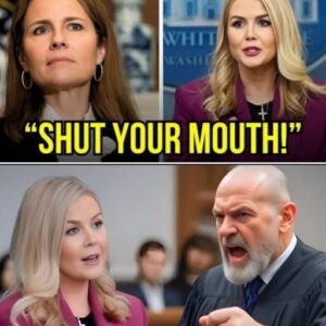 Judge Fined Leavitt 0K for Insulting Biden, 7 Minutes Later, Bondi Cuffed Him – VIDEO