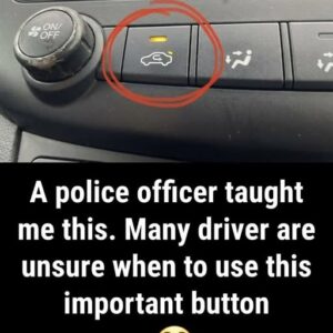 What the Air Recirculation Button Means for Your Driving Experience