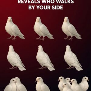 The Secret Behind The Doves Revealed