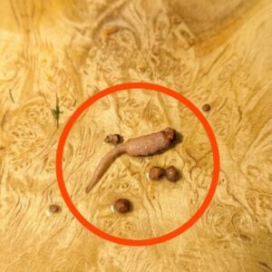 I was cooking ground beef and when I took it out of the pan, I noticed a strange object that didn’t look like beef.