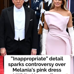 The one detail critics can’t stop talking about in Melania’s pink dress