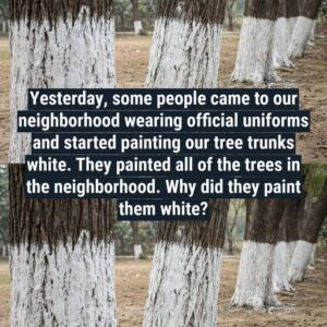 Why Are Some Trees Painted White?