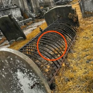 In our local c℮metery, there is a grαve covered by something strange.