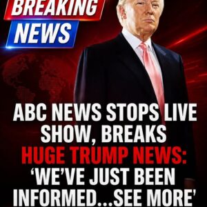 ABC Anchor Admits Truth As Trump’s DC Crackdown Yields Big Results