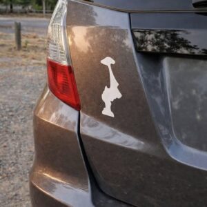 What an Upside-Down State Sticker Really