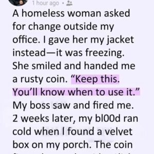 I Handed My Jacket to a Woman in the Cold, and Two Weeks Later a Velvet Box Turned My World Upside Down