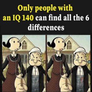 Only people with an IQ 140 can find all the 6 differences
