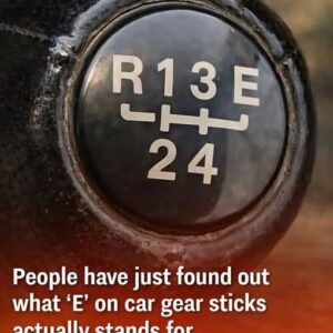 Drivers Are Just Discovering What the ‘E’ on Some Car Gear Sticks Means