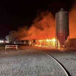 A few hours ago a big fire broke out in M… See more