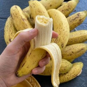 Here’s What Happens When You Eat One Banana A Day. Ladies, Take Note!