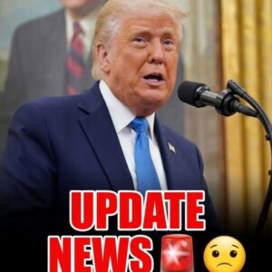 😮Trump looked straight at reporters and said the quiet part out loud