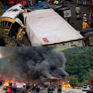 Breaking – Serious accident leaves 9 dead, among them was our dear beloved singer! See more