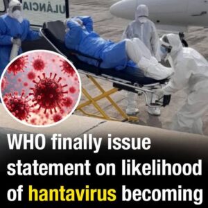 WHO finally issue statement on likelihood of hantavirus becoming the “next covid”