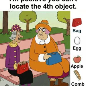 Find Bag, Egg, Apple, Comb.