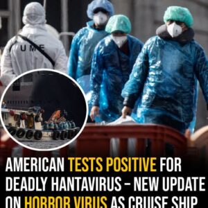 American tests positive for deadly hantavirus – new update on horror virus as cruise ship passengers are evacuated