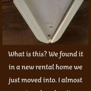 “What is this? It’s under the kitchen cabinet of the new home.”