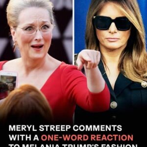 The Destabilizing Jacket, Why Meryl Streep Explosive New Vogue Interview Just Ripped Open Melania Trump Most Controversial Fashion Scandal