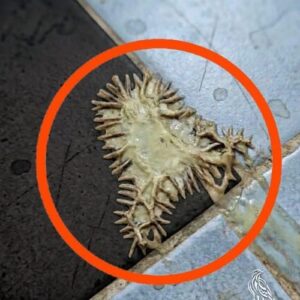 I found this in my girlfriend’s bathroom. We’ve been looking at it for an hour now and still can’t figure out what it is.
