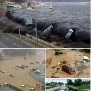 A 9.1 magnitude earthquake also caused a tsunami in the city of…
