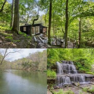 Classic Brick Ranch Home With Walkout Basement in Columbia, Missouri