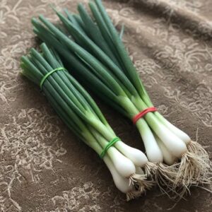 The Difference Between Green Onions, Scallions, Spring Onions, and Chives Explained